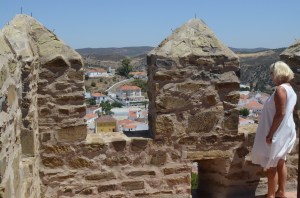 Vinni taking a gander